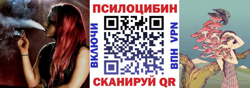 Галлюциногенные грибы Psilocybe Данков
